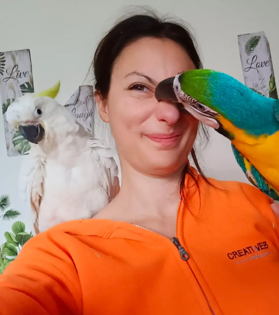 Ara ararauna e Cacatua galerita, Adriana Chiabrera