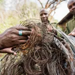 gli snare e il bracconaggio in Africa.jpg